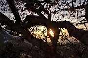 92 Colori del tramonto al Roccolo Cugini